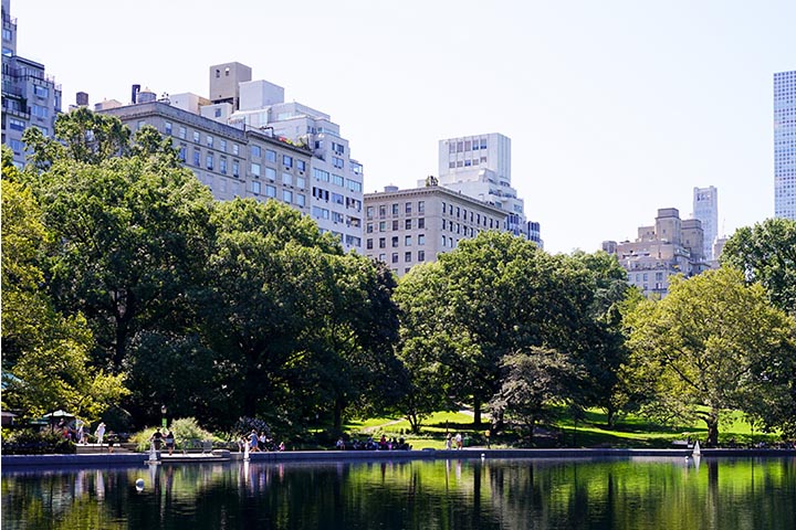 nature park in city
